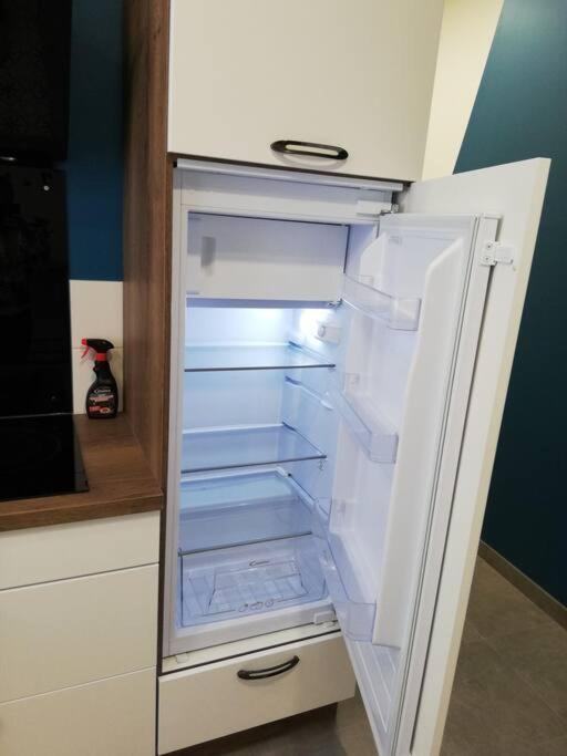 Bel Appartement Coeur De Grenoble Tout Equipe Ngoại thất bức ảnh