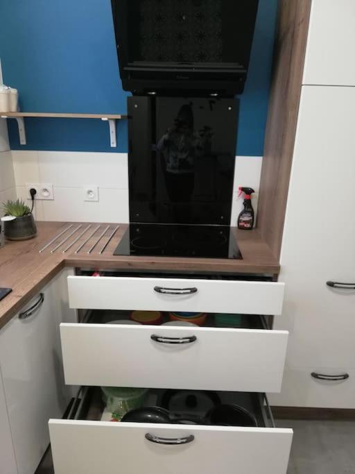 Bel Appartement Coeur De Grenoble Tout Equipe Ngoại thất bức ảnh