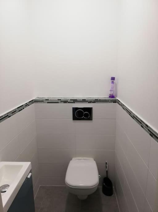 Bel Appartement Coeur De Grenoble Tout Equipe Ngoại thất bức ảnh