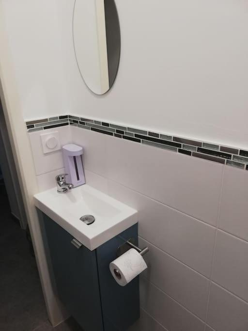 Bel Appartement Coeur De Grenoble Tout Equipe Ngoại thất bức ảnh